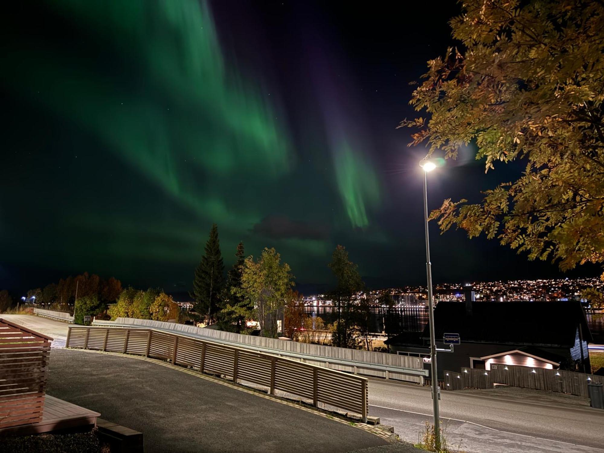 Sentralt Pa Fastlandet Og Gaavstand Til Alle Fasiliteter! Tromsdalen Esterno foto